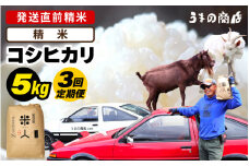 【先行予約】【令和7年産・新米】定期便≪3ヶ月連続お届け≫米 コシヒカリ 5kg × 3回定期便【精米】【2025年9月中旬以降順次発送予定】 [m25-c002_01]