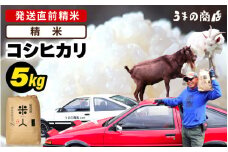 【先行予約】【令和7年産・新米】 コシヒカリ 5kg【精米】【2025年9月中旬以降順次発送予定】 [m25-a005_01]