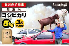 【先行予約】【令和7年産・新米】定期便≪3ヶ月連続お届け≫米 コシヒカリ 5kg × 3回定期便【無洗米】【2025年9月中旬以降順次発送予定】 [m25-c002_02]