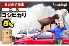 【先行予約】【令和7年産・新米】 コシヒカリ 5kg【玄米】【2025年9月中旬以降順次発送予定】 [m25-a005_03]