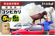 【先行予約】【令和7年産・新米】定期便≪6ヶ月連続お届け≫米 コシヒカリ 5kg × 6回定期便【無洗米】【2025年9月中旬以降順次発送予定】 [m25-g001_02]