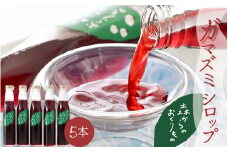 木の実のシロップ（ガマズミ）5本セット【 がまずみ 木の実 フルーツ 果汁 シロップ ソース 酵母菌 発酵食品 美容 健康 アントシアニン ポリフェノール 栽培期間中 農薬不使用 】 [m47-a004]