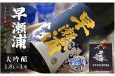 【早瀬浦】大吟醸 1800ml × 1本 ＆ 前掛け セット【入手困難 飲み比べ 日本酒 地酒 福井 美浜 早瀬 フルーティ 男酒 硬水 ミネラル 希少 ご褒美 家飲み お中元 お歳暮 ギフト 父の日 プレゼント】[m16-d002]