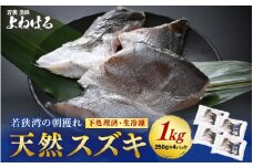 若狭湾の朝獲れ 天然 スズキ 約1kg (約250g×4パック) 下処理済!生冷凍!だから人気!【 鮮魚 魚介類 海鮮 下処理 小分け 冷凍 切り身 簡単調理 手軽 白身 焼き物 煮つけ 鍋 】[m17-a071]