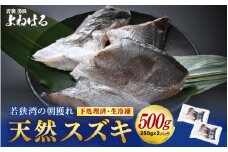 若狭湾の朝獲れ 天然 スズキ 約500g (約250g×2パック) 下処理済!生冷凍!だから人気!【 鮮魚 魚介類 海鮮 下処理 小分け 冷凍 切り身 簡単調理 手軽 白身 焼き物 煮つけ 鍋 】[m17-a072]