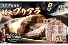 天然 ぶり 特大 ブリアラ（煮付け用）合計 約1.5kg 美浜町日向産【ぶつ切り 切身 塩焼き 骨付き ブリ大根 煮物 アラ】 [m36-a019]