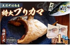 天然 ぶり 特大 ブリカマ (塩焼き用) 約1kg (約500g × 2パック) 美浜町日向産【希少 切身 かま 肉厚 コラーゲン 塩焼き 魚介類 魚貝類 新鮮 冷凍 凍眠】 [m36-a016]