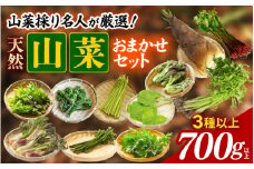 山菜採り名人が厳選 天然 山菜 おまかせ セット 700g以上【 山菜ミックス 山菜天ぷら 山菜うどん 山菜そば 山菜採り たらの芽 ふき みずぶき わらび こごみ よもぎ うど わさび こしあぶら せり たけのこ 】 [m47-a014]