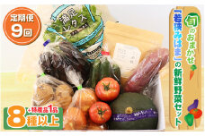 定期便 《9ヶ月連続お届け》 旬のおまかせ 「若狭みはま」の新鮮野菜セット 8種以上＋特産品1品 【ふるさと納税 春野菜 夏野菜 秋野菜 冬野菜 定期便 定期 やさい 野菜 セット 詰合せ 大容量 産地直送 旬 新鮮 採れたて おススメ 人気 】 [m80-j001]