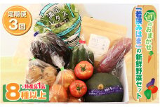 定期便 《3ヶ月連続お届け》 旬のおまかせ 「若狭みはま」の新鮮野菜セット 8種以上＋特産品1品  【ふるさと納税 春野菜 夏野菜 秋野菜 冬野菜  定期便 定期 やさい 野菜 セット 詰合せ 大容量 産地直送 旬 新鮮 採れたて おススメ 人気 】[m80-c001]