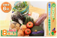 定期便 《6ヶ月連続お届け》 旬のおまかせ 「若狭みはま」の新鮮野菜セット 8種以上＋特産品1品【ふるさと納税 春野菜 夏野菜 秋野菜 冬野菜  定期便 定期 やさい 野菜 セット 詰合せ 大容量 産地直送 旬 新鮮 採れたて おススメ 人気 】  [m80-g001]