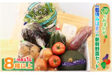 旬のおまかせ 「若狭みはま」の新鮮野菜セット 8種以上＋特産品1品 【ふるさと納税 春野菜 夏野菜 秋野菜 冬野菜  定期便 定期 やさい 野菜 セット 詰合せ 大容量 産地直送 旬 新鮮 採れたて おススメ 人気 】 [m80-a001]