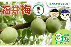 【先行予約】【福井特産】 福井梅（剣先）青梅 3kg（L～2L サイズ）【2025年6月以降順次発送】梅 福井梅 生梅 青梅 完熟梅 梅干し 梅酒 梅干 梅シロップ 梅ジャム 梅ジュース 果物 梅肉 ウメ うめ [m74-a004]