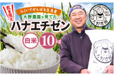【先行予約】【令和7年産・新米】ふくいでがんばる生産者 大野農園が育てた ハナエチゼン 10kg（5kg×2袋）【9月上旬以降順次発送】 [m49-a008_09]