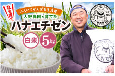 【先行予約】【令和7年産・新米】ふくいでがんばる生産者 大野農園が育てた ハナエチゼン 5kg【9月上旬以降順次発送】 [m49-a007_09]