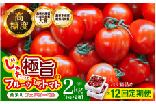定期便 ≪12ヶ月連続お届け≫じゅわっと極旨のフルーツミディトマト 約1kg (バラ箱詰め) ×２箱【 とまと トマト フルーツトマト ミニトマト トマトジュース 野菜 やさい 人気 新鮮 産地直送 甘い 高糖度 完熟 食べやすい リコピン ビタミン ダイエット 美容 美肌 】 [m37-j001]
