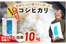 【先行予約】令和7年産 愛情たっぷり健やかに育った もちもち 甘い コシヒカリ（白米）10kg【2025年9月下旬以降順次発送予定】新米 お米 ブランド米 kome おこめ こめ コメ  [m29-a019]