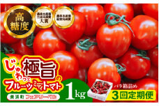 定期便 ≪3ヶ月連続お届け≫じゅわっと極旨のフルーツミディトマト 約1kg (バラ箱詰め) 【 とまと トマト フルーツトマト ミニトマト トマトジュース 野菜 やさい 人気 新鮮 産地直送 甘い 高糖度 完熟 食べやすい リコピン ビタミン ダイエット 美容 美肌 】 [m37-a014]