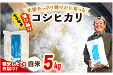 【先行予約】令和7年産 愛情たっぷり健やかに育った もちもち 甘い コシヒカリ（白米）5kg【2025年9月下旬以降順次発送予定】新米 お米 ブランド米 kome おこめ こめ コメ  [m29-a018]