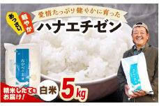【先行予約】令和7年産 愛情たっぷり健やかに育った ツヤツヤ ハナエチゼン（白米）5kg【2025年9月上旬以降順次発送予定】 [m29-a020]