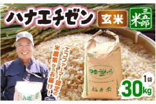【先行予約】米 令和7年産 ハナエチゼン 30kg（玄米）【2025年9月上旬以降順次発送予定】 [m76-d001]