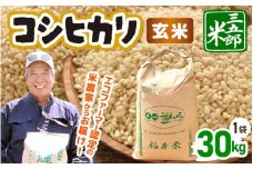 【先行予約】米 令和7年産 コシヒカリ 30kg（玄米）【2025年9月中旬以降順次発送予定】 [m76-e001]