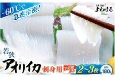 【先行予約】≪-60℃で急速冷凍≫若狭アオリイカ 刺身用2～3枚（合計180g）【2025年11月中旬以降順次発送予定】下処理済みだからシンクも汚れず大好評！ [m17-a073]