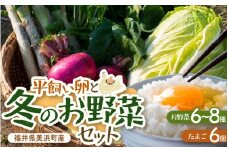 【先行予約】お野菜セット 旬の冬野菜と平飼い卵のお楽しみボックス【2025年12月上旬順次発送予定】【野菜 卵 セット 新鮮野菜 詰め合わせ 農家直送 旬野菜 季節限定 旬の味覚 鍋 平飼い 卵焼き たまご】 [m75-a001]