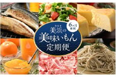 美浜のお楽しみ定期便！ 計6回 若狭牛 チーズケーキ 焼き魚 無菌室レタス そば 飲むゼリー 等 ≪ 6ヶ月連続お届け≫ JOIA 蕎麦 鯖 干物[m60-e002]