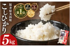 【先行予約】【令和7年産・新米】米 コシヒカリ 5kg × 1袋 精米 福井県美浜町産【2025年10月下旬発送予定】 [m60-a017_10]