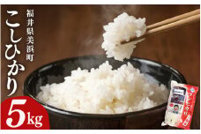 【先行予約】【令和7年産・新米】米 コシヒカリ 5kg × 1袋 精米 福井県美浜町産【2025年11月下旬発送予定】 [m60-a017_11]