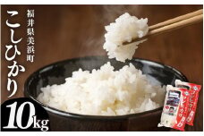 【先行予約】【令和7年産・新米】米 コシヒカリ 計10kg （5kg × 2袋）精米 福井県美浜町産 【2025年9月下旬発送予定】 [m60-c005_09]