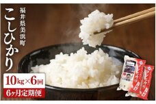 【先行予約】 定期便 ≪6ヶ月連続お届け≫ 米 令和7年産 新米 コシヒカリ 10kg × 6回 （計60kg）精米 福井県美浜町産 【2025年10月下旬以降順次発送予定】 [m60-n001]