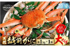 【先行予約】≪浜茹で≫ 地物！天然！越前がに 大サイズ（約1kg） × 1杯【冷凍】かにスプーン付き【2025年11月下旬以降順次発送予定】 はるか丸厳選！【冷凍 本場の味 ボイル 越前ガニ 蟹 茹で ずわいがに ズワイガニ 福井 日本海】 [m36-l003]