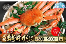 【先行予約】≪浜茹で≫ 地物！天然！越前がに 生の状態で約800g～900g × 1杯【冷凍】かにスプーン付き【2025年11月下旬以降順次発送予定】 はるか丸厳選！【冷凍 本場の味 ボイル 越前ガニ 蟹 茹で ずわいがに ズワイガニ 福井 日本海】[m36-h004]