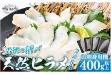 【先行予約】若狭の活〆天然ヒラメ 400g以上 お刺身用柵【2025年9月以降順次発送予定】【 国産 天然 ヒラメ ひらめ 魚 カルパッチョ 海鮮 刺身 刺し身 おさしみ えんがわ しゃぶしゃぶ 昆布締め 魚介類 冷凍 小分け 個包装 】[m36-b014]