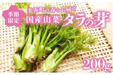 【先行予約】【季節限定】国産山菜 タラの芽 美浜町の春をお届け【2026年4月上旬以降順次発送予定】【旬 山菜 野菜 たらの芽 天ぷら 春野菜】 [m47-a021]