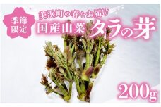 【先行予約】【季節限定】国産山菜 タラの芽 美浜町の春をお届け【2026年4月上旬以降順次発送予定】【旬 山菜 野菜 たらの芽 天ぷら 春野菜】 [m47-a021]