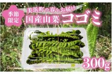 【先行予約】【季節限定】国産山菜 コゴミ 美浜町の春をお届け【2026年4月上旬以降順次発送予定】【こごみ  山菜 クサソテツ 旬 旬菜】 [m47-a020]