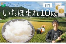 【先行予約】令和7年産 新米 いちほまれ 白米 10kg (5kg×2袋)【2025年11月上旬以降順次発送予定】　精米 福井県 美浜町産 白米 こめ コメ お米 おこめ 5キロ 10キロ おすすめ [m46-c001]