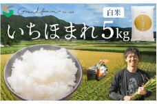 【先行予約】令和7年産 新米 いちほまれ 白米 5kg 【2025年11月上旬以降順次発送予定】精米 福井県 美浜町産 こめ コメ お米 おこめ 5キロ 10キロ おすすめ [m46-a001]