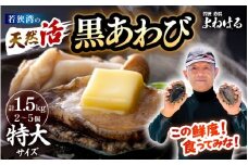 【先行予約】日本海若狭湾の 天然 活黒アワビ 計1.5kg (2～5個) 特大サイズ  鮮度抜群！【2026年4月より順次発送予定】 刺身 お造り バター焼き BBQ 入手困難 あわび アワビ 鮑 クロアワビ 黒あわび [m17-o004_04]