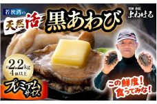 【先行予約】【数量限定】日本海若狭湾の 天然 活黒アワビ プレミアムサイズ 計2.2kg（4個以上）鮮度抜群！【2026年5月より順次発送予定】 刺身 お造り バター焼き BBQ 入手困難 あわび アワビ 鮑 クロアワビ 黒あわび [m17-p003_05]