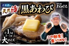 【先行予約】日本海若狭湾の 天然 活黒アワビ 計1kg (3～5個) 大サイズ 【2025年11月中旬より順次発送予定】 鮮度抜群 刺身 お造り バター焼き BBQ 入手困難 あわび アワビ 鮑 クロアワビ 黒あわび [m17-j002_99]