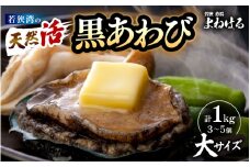 【先行予約】日本海若狭湾の 天然 活黒アワビ 計1kg (3～5個) 大サイズ 【2026年5月より順次発送予定】 鮮度抜群 刺身 お造り バター焼き BBQ 入手困難 あわび アワビ 鮑 クロアワビ 黒あわび [m17-j002_05]