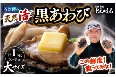 【先行予約】日本海若狭湾の 天然 活黒アワビ 計1kg (3～5個) 大サイズ 【2026年5月より順次発送予定】 鮮度抜群 刺身 お造り バター焼き BBQ 入手困難 あわび アワビ 鮑 クロアワビ 黒あわび [m17-j002_05]