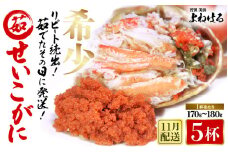 【先行予約】天然 せいこがに × 5杯 (1杯約170g) 茹でたその日に発送！ 【2025年11月中旬以降順次発送予定】 [m17-x009_11]