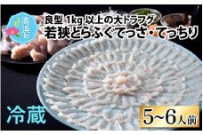 若狭とらふぐてっさ・てっちりセット（5～6人前） ｜ ふぐ ふぐ刺し ふぐ鍋 ふぐひれ 刺身 薄造り 冷蔵 ブランド 低カロリー 旬 贈り物 年末年始 お歳暮 贅沢 高級