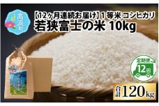 【令和6年産 新米】【12ヶ月連続定期便】一等米コシヒカリ 若狭富士の米 10kg × 12回 計120kg