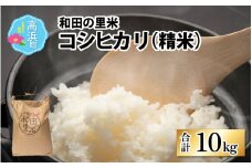 【先行予約】【令和7年産　新米】和田の里米 コシヒカリ 白米 10kg【2025年10月より順次発送】ふるさと納税 米 10kg 福井県 高浜町 お米 発祥の地 こめ おこめ 白米 精米 国産 ごはん ご飯 白飯 ゴハン あまみ ふるさと ランキング 人気 おすすめ 送料無料 産地直送 農家直送 福井県産 国産米